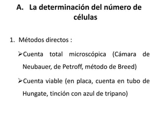 A. La determinación del número de
células
1. Métodos directos :
Cuenta total microscópica (Cámara de
Neubauer, de Petroff, método de Breed)
Cuenta viable (en placa, cuenta en tubo de
Hungate, tinción con azul de tripano)
 