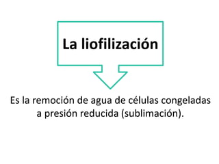 Es la remoción de agua de células congeladas
a presión reducida (sublimación).
La liofilización
 