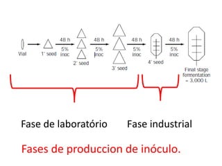 Fase de laboratório Fase industrial
Fases de produccion de inóculo.
 