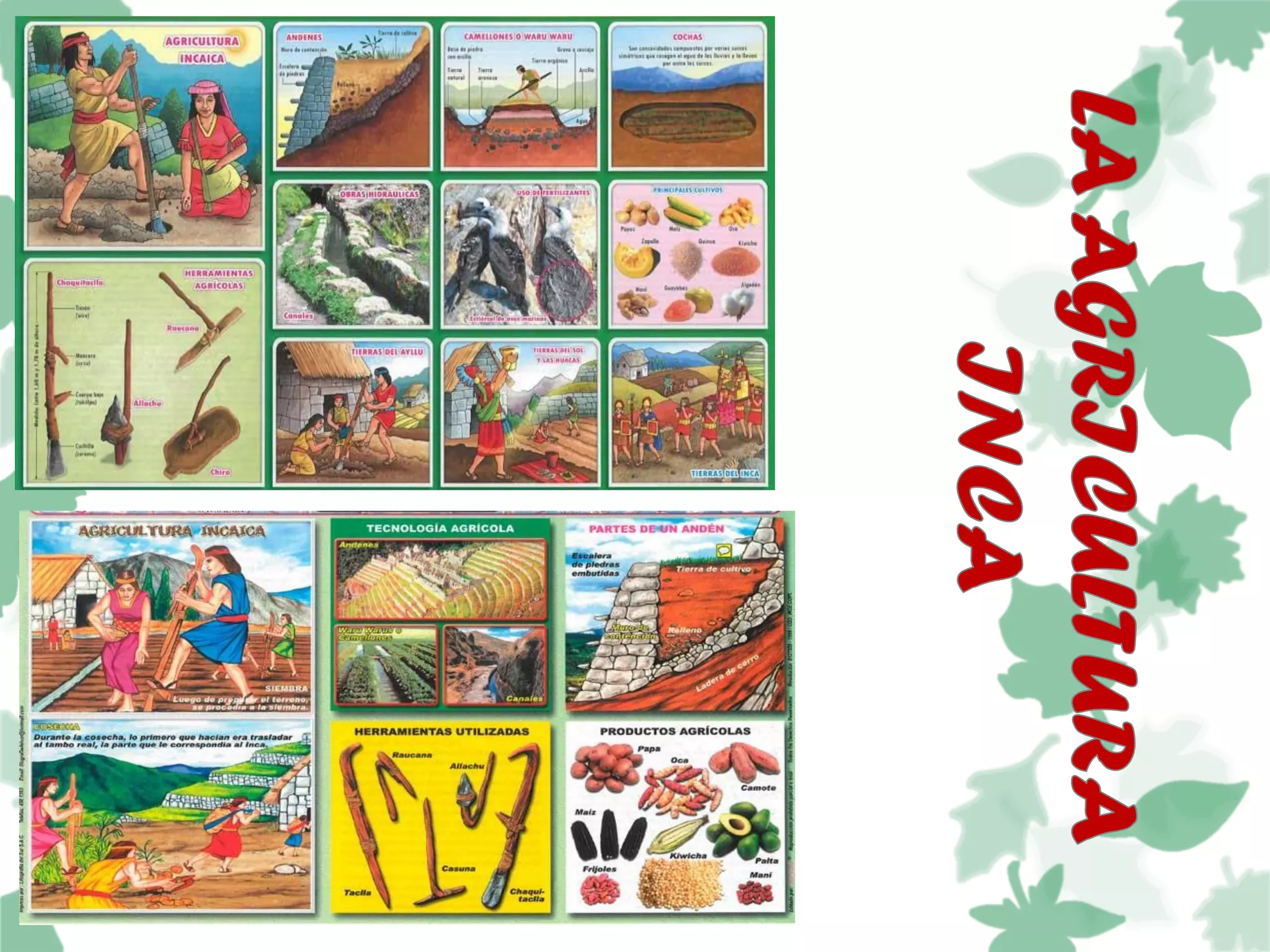 Desarrollo De La Agricultura En La Cultura Inca PDF Desarrollo De La Agricultura En La Cultura Inca PDF