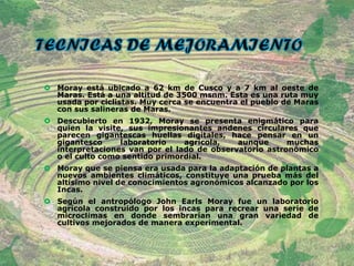  Moray está ubicado a 62 km de Cusco y a 7 km al oeste de
Maras. Está a una altitud de 3500 msnm. Esta es una ruta muy
usada por ciclistas. Muy cerca se encuentra el pueblo de Maras
con sus salineras de Maras.
 Descubierto en 1932, Moray se presenta enigmático para
quien la visite, sus impresionantes andenes circulares que
parecen gigantescas huellas digitales, hace pensar en un
gigantesco laboratorio agrícola, aunque muchas
interpretaciones van por el lado de observatorio astronómico
o el culto como sentido primordial.
 Moray que se piensa era usada para la adaptación de plantas a
nuevos ambientes climáticos, constituye una prueba más del
altísimo nivel de conocimientos agronómicos alcanzado por los
Incas.
 Según el antropólogo John Earls Moray fue un laboratorio
agrícola construido por los incas para recrear una serie de
microclimas en donde sembrarían una gran variedad de
cultivos mejorados de manera experimental.
 