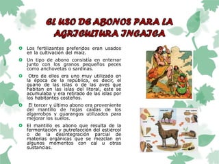  Los fertilizantes preferidos eran usados
en la cultivación del maíz.
 Un tipo de abono consistía en enterrar
junto con los granos pequeños peces
como anchovetas o sardinas.
 Otro de ellos era uno muy utilizado en
la época de la república, es decir, el
guano de las islas o de las aves que
habitan en las islas del litoral, este se
acumulaba y era retirado de las islas por
los habitantes costeños.
 El tercer y último abono era proveniente
del mantillo de hojas caídas de los
algarrobos y guarangos utilizados para
mejorar los suelos.
 El mantillo es abono que resulta de la
fermentación y putrefacción del estiércol
o de la desintegración parcial de
materias orgánicas que se mezclan en
algunos momentos con cal u otras
sustancias.
 
