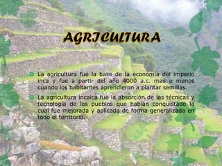  La agricultura fue la base de la economía del imperio
inca y fue a partir del año 4000 a.c. mas o menos
cuando los habitantes aprendieron a plantar semillas.
 La agricultura incaica fue la absorción de las técnicas y
tecnología de los pueblos que habían conquistado la
cual fue mejorada y aplicada de forma generalizada en
todo el territorio.
 
