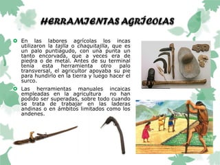 En las labores agrícolas los incas
utilizaron la tajlla o chaquitajlla, que es
un palo puntiagudo, con una punta un
tanto encorvada, que a veces era de
piedra o de metal. Antes de su terminal
tenía esta herramienta otro palo
transversal, el agricultor apoyaba su pie
para hundirlo en la tierra y luego hacer el
surco.
 Las herramientas manuales incaicas
empleadas en la agricultura no han
podido ser superadas, sobre todo cuando
se trata de trabajar en las laderas
andinas o en ámbitos limitados como los
andenes.
 