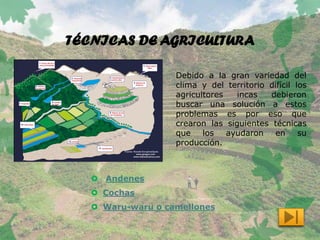 TÉCNICAS DE AGRICULTURA
Debido a la gran variedad del
clima y del territorio difícil los
agricultores incas debieron
buscar una solución a estos
problemas es por eso que
crearon las siguientes técnicas
que los ayudaron en su
producción.
 Andenes
 Cochas
 Waru-waru o camellones
 