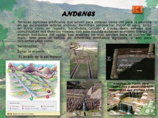 ANDENES
 Terrazas agrícolas artificiales que sirven para obtener tierra útil para la siembra
en las escarpadas laderas andinas. Permitían aprovechar mejor el agua, tanto
en lluvia como en regadío, haciéndola circular a través delos canales que
comunicaban sus diversos niveles, con esta medida evitaban al mismo tiempo la
erosión hidráulica del suelo. Los andenes no solo servían para el cultivo del
maíz, sino para el cultivo de diferentes productos agrícolas, y aún para
diferentes usos como:
 Sembradíos.
 Evitar la erosión.
 El lavado de la sal mineral
Compejo de Tipón, obra
hidráulica y observatorio
Hidrológico que destaca en el
Imperio Incaico
 