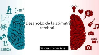 Desarrollo de la asimetría
cerebral-
Vasquez Lopez Ana
Laura
 
