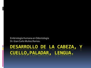 DESARROLLO DE LA CABEZA, Y
CUELLO,PALADAR, LENGUA.
Embriología Humana en Odontología
Dr.Gian Carlo Muñoz Ramos.
 