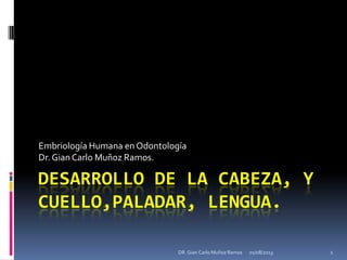 DESARROLLO DE LA CABEZA, Y
CUELLO,PALADAR, LENGUA.
Embriología Humana en Odontología
Dr.Gian Carlo Muñoz Ramos.
01/08/2013 1DR. Gian Carlo Muñoz Ramos
 