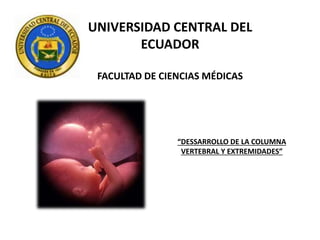 UNIVERSIDAD CENTRAL DEL
ECUADOR
FACULTAD DE CIENCIAS MÉDICAS
“DESSARROLLO DE LA COLUMNA
VERTEBRAL Y EXTREMIDADES”
 