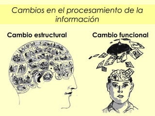 Cambios en el procesamiento de la
información
Cambio estructural

Cambio funcional

 
