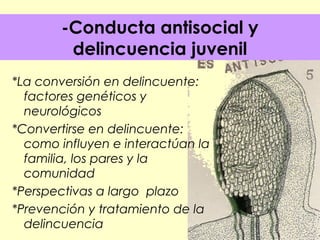 -Conducta antisocial y
delincuencia juvenil
*La conversión en delincuente:
factores genéticos y
neurológicos
*Convertirse en delincuente:
como influyen e interactúan la
familia, los pares y la
comunidad
*Perspectivas a largo plazo
*Prevención y tratamiento de la
delincuencia

 