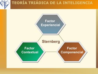 TEORÍA TRIÁDICA DE LA INTELIGENCIA 
Factor 
Experiencial 
Factor 
Contextual 
Factor 
Componencial 
Sternberg 
 