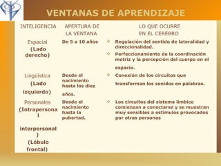 VENTANAS DE APRENDIZAJE 
INTELIGENCIA APERTURA DE 
LA VENTANA 
LO QUE OCURRE 
EN EL CEREBRO 
Espacial 
(Lado 
derecho) 
De 5 a 10 años  Regulación del sentido de lateralidad y 
direccionalidad. 
 Perfeccionamiento de la coordinación 
motriz y la percepción del cuerpo en el 
espacio. 
Lingüística 
(Lado 
izquierdo) 
Desde el 
nacimiento 
hasta los diez 
años. 
 Conexión de los circuitos que 
transforman los sonidos en palabras. 
Personales 
(Intrapersona 
l 
interpersonal 
) 
(Lóbulo 
frontal) 
Desde el 
nacimiento 
hasta la 
pubertad. 
 Los circuitos del sistema límbico 
comienzan a conectarse y se muestran 
muy sensibles a estímulos provocados 
por otras personas 
 