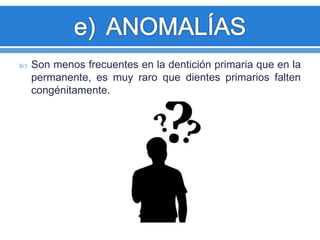  Son menos frecuentes en la dentición primaria que en la 
permanente, es muy raro que dientes primarios falten 
congénitamente. 
 