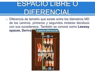 Diferencia de tamaño que existe entre los diámetros MD 
de los caninos, primeros y segundos molares deciduos 
con sus sucedaneos. También se conoce como Leeway 
spacee, Deriva, Nance. 
 