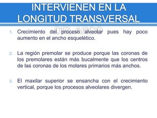 1. Crecimiento del proceso alveolar pues hay poco 
aumento en el ancho esquelético. 
2. La región premolar se produce porque las coronas de 
los premolares están más bucalmente que los centros 
de las coronas de los molares primarios más anchos. 
3. El maxilar superior se ensancha con el crecimiento 
vertical, porque los procesos alveolares divergen. 
 