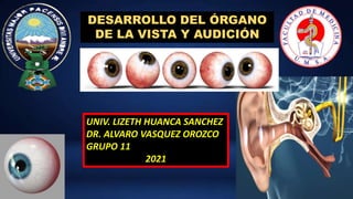 DESARROLLO DEL ÓRGANO
DE LA VISTA Y AUDICIÓN
UNIV. LIZETH HUANCA SANCHEZ
DR. ALVARO VASQUEZ OROZCO
GRUPO 11
2021
 