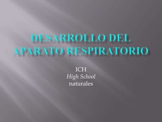 DESARROLLO DEL APARATO RESPIRATORIO ICH High School naturales 