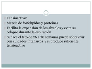 Tensioactivo: 
Mezcla de fosfolípidos y proteínas 
Facilita la expansión de los alvéolos y evita su 
colapso durante la espiración 
Si nace el feto de 26 a 28 semanas puede sobrevivir 
con cuidados intensivos y si produce suficiente 
tensioactivo 
 