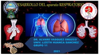 DESARROLLO DEL aparato RESPIRATORIO
DR. ALVARO VASQUEZ OROZCO
UNIV. LIZETH HUANCA SANCHEZ
GRUPO 11
2021
 