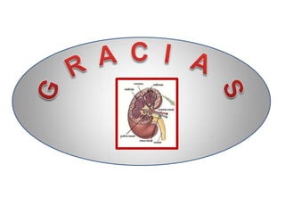 Desarrollo del aparato urinario