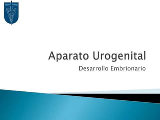 Desarrollo del aparato urinario