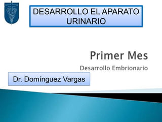 DESARROLLO EL APARATO
           URINARIO




Dr. Domínguez Vargas
 