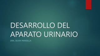 DESARROLLO DEL
APARATO URINARIO
DRA. SILVIA MANSILLA
 