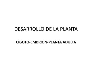 DESARROLLO DE LA PLANTA
CIGOTO-EMBRION-PLANTA ADULTA
 
