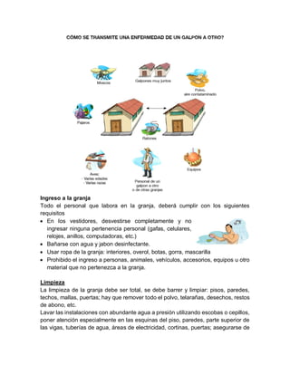 Ingreso a la granja
Todo el personal que labora en la granja, deberá cumplir con los siguientes
requisitos
 En los vestidores, desvestirse completamente y no
ingresar ninguna pertenencia personal (gafas, celulares,
relojes, anillos, computadoras, etc.)
 Bañarse con agua y jabon desinfectante.
 Usar ropa de la granja: interiores, overol, botas, gorra, mascarilla
 Prohibido el ingreso a personas, animales, vehículos, accesorios, equipos u otro
material que no pertenezca a la granja.
Limpieza
La limpieza de la granja debe ser total, se debe barrer y limpiar: pisos, paredes,
techos, mallas, puertas; hay que remover todo el polvo, telarañas, desechos, restos
de abono, etc.
Lavar las instalaciones con abundante agua a presión utilizando escobas o cepillos,
poner atención especialmente en las esquinas del piso, paredes, parte superior de
las vigas, tuberías de agua, áreas de electricidad, cortinas, puertas; asegurarse de
 