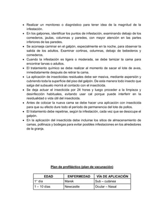  Realizar un monitoreo o diagnóstico para tener idea de la magnitud de la
infestación.
 En los galpones, identificar los puntos de infestación, examinando debajo de los
comederos, jaulas, columnas y paredes, con mayor atención en las partes
inferiores de las paredes.
 Se aconseja caminar en el galpón, especialmente en la noche, para observar la
salida de los adultos. Examinar cortinas, columnas, debajo de bebederos y
comederos.
 Cuando la infestación es ligera o moderada, se debe tamizar la cama para
encontrar larvas o adultos.
 El tratamiento químico se debe realizar al momento de sacar el lote de aves,
inmediatamente después de retirar la cama.
 La aplicación de insecticidas residuales debe ser masiva, mediante aspersión y
cubriendo toda la superficie del piso del galpón. De esta manera todo insecto que
salga del subsuelo morirá al contacto con el insecticida.
 Se deja actuar el insecticida por 24 horas y luego proceder a la limpieza y
desinfección habituales, evitando usar cal porque puede interferir en la
residualidad o vida útil del insecticida.
 Antes de colocar la nueva cama se debe hacer una aplicación con insecticida
para que su efecto dure todo el período de permanencia del lote de pollos.
 El tratamiento debe repetirse, según la infestación, cada vez que se desocupe el
galpón.
 En la aplicación del insecticida debe incluirse los sitios de almacenamiento de
camas, pollinaza y bodegas para evitar posibles infestaciones en los alrededores
de la granja.
Plan de profiláctico (plan de vacunación)
EDAD ENFERMEDAD VÍA DE APLICACIÓN
1° día Marek Sub – cutánea
1 – 10 días Newcastle Ocular – Nasal
 