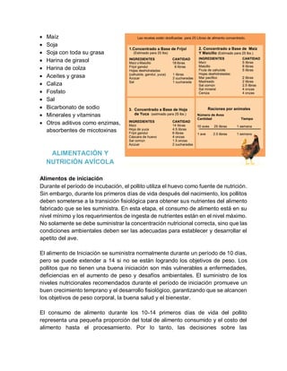  Maíz
 Soja
 Soja con toda su grasa
 Harina de girasol
 Harina de colza
 Aceites y grasa
 Caliza
 Fosfato
 Sal
 Bicarbonato de sodio
 Minerales y vitaminas
 Otros aditivos como enzimas,
absorbentes de micotoxinas
ALIMENTACIÓN Y
NUTRICIÓN AVÍCOLA
Alimentos de iniciación
Durante el período de incubación, el pollito utiliza el huevo como fuente de nutrición.
Sin embargo, durante los primeros días de vida después del nacimiento, los pollitos
deben someterse a la transición fisiológica para obtener sus nutrientes del alimento
fabricado que se les suministra. En esta etapa, el consumo de alimento está en su
nivel mínimo y los requerimientos de ingesta de nutrientes están en el nivel máximo.
No solamente se debe suministrar la concentración nutricional correcta, sino que las
condiciones ambientales deben ser las adecuadas para establecer y desarrollar el
apetito del ave.
El alimento de Iniciación se suministra normalmente durante un período de 10 días,
pero se puede extender a 14 si no se están logrando los objetivos de peso. Los
pollitos que no tienen una buena iniciación son más vulnerables a enfermedades,
deficiencias en el aumento de peso y desafíos ambientales. El suministro de los
niveles nutricionales recomendados durante el período de iniciación promueve un
buen crecimiento temprano y el desarrollo fisiológico, garantizando que se alcancen
los objetivos de peso corporal, la buena salud y el bienestar.
El consumo de alimento durante los 10-14 primeros días de vida del pollito
representa una pequeña proporción del total de alimento consumido y el costo del
alimento hasta el procesamiento. Por lo tanto, las decisiones sobre las
 