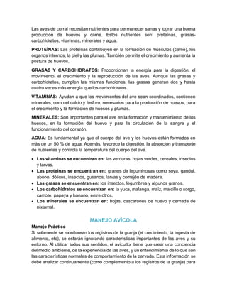 Las aves de corral necesitan nutrientes para permanecer sanas y lograr una buena
producción de huevos y carne. Estos nutrientes son: proteínas, grasas-
carbohidratos, vitaminas, minerales y agua.
PROTEÍNAS: Las proteínas contribuyen en la formación de músculos (carne), los
órganos internos, la piel y las plumas. También permite el crecimiento y aumenta la
postura de huevos.
GRASAS Y CARBOHIDRATOS: Proporcionan la energía para la digestión, el
movimiento, el crecimiento y la reproducción de las aves. Aunque las grasas y
carbohidratos, cumplen las mismas funciones, las grasas generan dos y hasta
cuatro veces más energía que los carbohidratos.
VITAMINAS: Ayudan a que los movimientos del ave sean coordinados, contienen
minerales, como el calcio y fósforo, necesarios para la producción de huevos, para
el crecimiento y la formación de huesos y plumas.
MINERALES: Son importantes para el ave en la formación y mantenimiento de los
huesos, en la formación del huevo y para la circulación de la sangre y el
funcionamiento del corazón.
AGUA: Es fundamental ya que el cuerpo del ave y los huevos están formados en
más de un 50 % de agua. Además, favorece la digestión, la absorción y transporte
de nutrientes y controla la temperatura del cuerpo del ave.
 Las vitaminas se encuentran en: las verduras, hojas verdes, cereales, insectos
y larvas.
 Las proteínas se encuentran en: granos de leguminosas como soya, gandul,
abono, dólicos, insectos, gusanos, larvas y comején de madera.
 Las grasas se encuentran en: los insectos, legumbres y algunos granos.
 Los carbohidratos se encuentran en: la yuca, malanga, maíz, maicillo o sorgo,
camote, papaya y banano, entre otros.
 Los minerales se encuentran en: hojas, cascarones de huevo y cernada de
nixtamal.
MANEJO AVÍCOLA
Manejo Práctico
Si solamente se monitorean los registros de la granja (el crecimiento, la ingesta de
alimento, etc), se estarán ignorando características importantes de las aves y su
entorno. Al utilizar todos sus sentidos, el avicultor tiene que crear una conciencia
del medio ambiente, de la experiencia de las aves, y un entendimiento de lo que son
las características normales de comportamiento de la parvada. Esta información se
debe analizar continuamente (como complemento a los registros de la granja) para
 