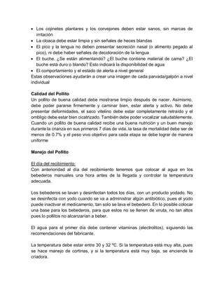  Los cojinetes plantares y los corvejones deben estar sanos, sin marcas de
irritación
 La cloaca debe estar limpia y sin señales de heces blandas
 El pico y la lengua no deben presentar secreción nasal (o alimento pegado al
pico), ni debe haber señales de decoloración de la lengua
 El buche. ¿Se están alimentando? ¿El buche contiene material de cama? ¿El
buche está duro o blando? Esto indicará la disponibilidad de agua
 El comportamiento y el estado de alerta a nivel general
Estas observaciones ayudarán a crear una imagen de cada parvada/galpón a nivel
individual
Calidad del Pollito
Un pollito de buena calidad debe mostrarse limpio después de nacer. Asimismo,
debe poder pararse firmemente y caminar bien, estar alerta y activo. No debe
presentar deformidades, el saco vitelino debe estar completamente retraído y el
ombligo debe estar bien cicatrizado. También debe poder vocalizar saludablemente.
Cuando un pollito de buena calidad recibe una buena nutrición y un buen manejo
durante la crianza en sus primeros 7 días de vida, la tasa de mortalidad debe ser de
menos de 0.7% y el peso vivo objetivo para cada etapa se debe lograr de manera
uniforme
Manejo del Pollito
El día del recibimiento:
Con anterioridad al día del recibimiento tenemos que colocar al agua en los
bebederos manuales una hora antes de la llegada y controlar la temperatura
adecuada.
Los bebederos se lavan y desinfectan todos los días, con un producto yodado. No
se desinfecta con yodo cuando se va a administrar algún antibiótico, pues el yodo
puede inactivar el medicamento, tan solo se lava el bebedero. En lo posible colocar
una base para los bebederos, para que estos no se llenen de viruta, no tan altos
pues lo pollitos no alcanzarían a beber.
El agua para el primer día debe contener vitaminas (electrolitos), siguiendo las
recomendaciones del fabricante.
La temperatura debe estar entre 30 y 32 ºC. Si la temperatura está muy alta, pues
se hace manejo de cortinas, y si la temperatura está muy baja, se enciende la
criadora.
 