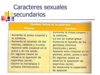 Caracteres sexuales secundarios 