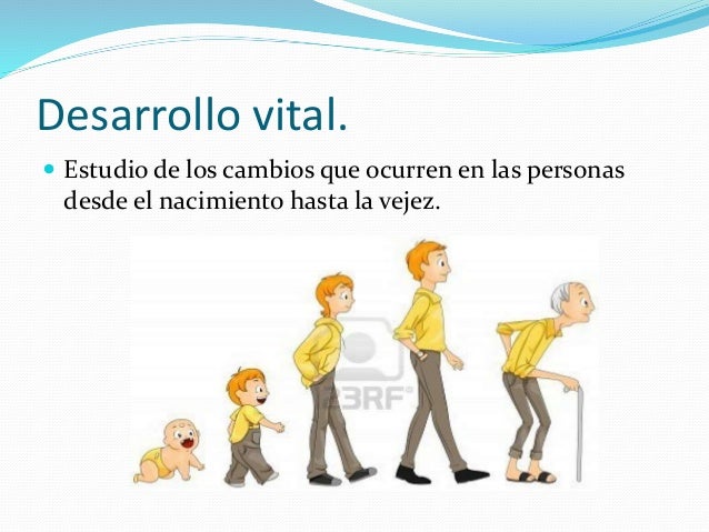 Desarrollo del ciclo vital