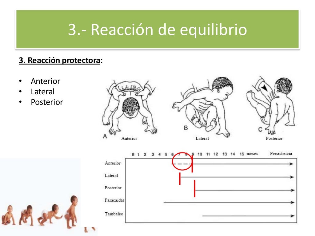 Desarrollo del control postural