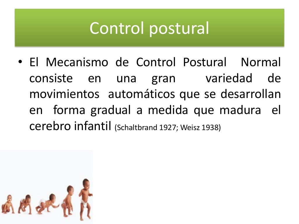 Desarrollo del control postural