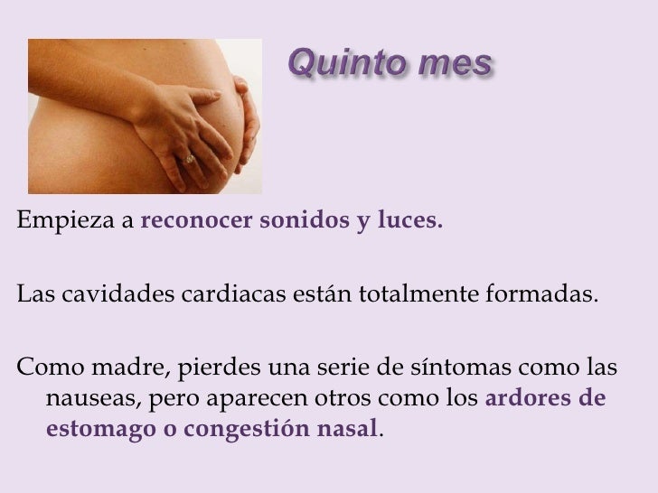 DESARROLLO DEL EMBARAZO MES A MES EBOOK DOWNLOAD DESARROLLO DEL EMBARAZO MES A MES EBOOK DOWNLOAD