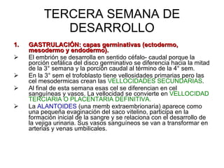 TERCERA SEMANA DE DESARROLLO GASTRULACIÓN: capas germinativas (ectodermo, mesodermo y endodermo). El embrión se desarrolla en sentido céfalo- caudal porque la porción cefálica del disco germinativo se diferencia hacia la mitad de la 3° semana y la porción caudal al término de la 4° sem. En la 3° sem el trofoblasto tiene vellosidades primarias pero las cel mesodermicas crean las  VELLOCIDADES SECUNDARIAS . Al final de esta semana esas cel se diferencian en cel sanguíneas y vasos. La vellocidad se convierte en  VELLOCIDAD TERCIARIA O PLACENTARIA DEFINITIVA. La  ALANTOIDES  (una memb extraembrionaria) aparece como una pequeña evaginación del saco vitelino, participa en la formación inicial de la sangre y se relaciona con el desarrollo de la vejiga urinaria. Sus vasos sanguíneos se van a transformar en arterias y venas umbilicales. 