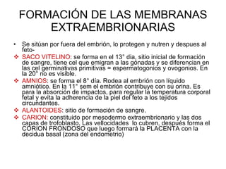 FORMACIÓN DE LAS MEMBRANAS EXTRAEMBRIONARIAS Se sitúan por fuera del embrión, lo protegen y nutren y despues al feto- SACO VITELINO : se forma en el 13° dia, sitio inicial de formación de sangre, tiene cel que emigran a las gónadas y se diferencian en las cel germinativas primitivas = espermatogonios y ovogonios. En la 20° no es visible. AMNIOS : se forma el 8° día. Rodea al embrión con líquido amniótico. En la 11° sem el embrión contribuye con su orina. Es para la absorción de impactos, para regular la temperatura corporal fetal y evita la adherencia de la piel del feto a los tejidos circundantes. ALANTOIDES : sitio de formación de sangre. CARION:  constituido por mesodermo extraembrionario y las dos capas de trofoblasto, Las vellocidades  lo cubren, después forma el CORION FRONDOSO que luego formará la PLACENTA con la decidua basal (zona del endometrio) 