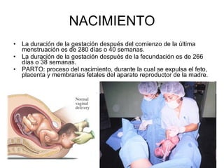 NACIMIENTO La duración de la gestación después del comienzo de la última menstruación es de 280 días o 40 semanas. La duración de la gestación después de la fecundación es de 266 días o 38 semanas. PARTO: proceso del nacimiento, durante la cual se expulsa el feto, placenta y membranas fetales del aparato reproductor de la madre. 