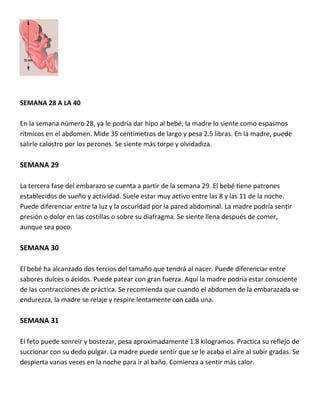 SEMANA 28 A LA 40
En la semana número 28, ya le podría dar hipo al bebé; la madre lo siente como espasmos
rítmicos en el abdomen. Mide 35 centímetros de largo y pesa 2.5 libras. En la madre, puede
salirle calostro por los pezones. Se siente más torpe y olvidadiza.
SEMANA 29
La tercera fase del embarazo se cuenta a partir de la semana 29. El bebé tiene patrones
establecidos de sueño y actividad. Suele estar muy activo entre las 8 y las 11 de la noche.
Puede diferenciar entre la luz y la oscuridad por la pared abdominal. La madre podría sentir
presión o dolor en las costillas o sobre su diafragma. Se siente llena después de comer,
aunque sea poco.
SEMANA 30
El bebé ha alcanzado dos tercios del tamaño que tendrá al nacer. Puede diferenciar entre
sabores dulces o ácidos. Puede patear con gran fuerza. Aquí la madre podría estar consciente
de las contracciones de práctica. Se recomienda que cuando el abdomen de la embarazada se
endurezca, la madre se relaje y respire lentamente con cada una.
SEMANA 31
El feto puede sonreír y bostezar, pesa aproximadamente 1.8 kilogramos. Practica su reflejo de
succionar con su dedo pulgar. La madre puede sentir que se le acaba el aire al subir gradas. Se
despierta varias veces en la noche para ir al baño. Comienza a sentir más calor.
 