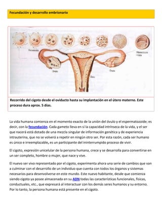 Fecundación y desarrollo embrionario
Recorrido del cigoto desde el oviducto hasta su implantación en el útero materno. Este
proceso dura aprox. 5 días.
La vida humana comienza en el momento exacto de la unión del óvulo y el espermatozoide; es
decir, con la fecundación. Cada gameto lleva en sí la capacidad intrínseca de la vida, y el ser
que nacerá está dotado de una mezcla singular de información genética y de experiencia
intrauterina, que no se volverá a repetir en ningún otro ser. Por esta razón, cada ser humano
es único e irreemplazable, es un participante del ininterrumpido proceso de vivir.
El cigoto, expresión unicelular de la persona humana, crece y se desarrolla para convertirse en
un ser completo, hombre o mujer, que nace y vive.
El nuevo ser vivo representado por el cigoto, experimenta ahora una serie de cambios que van
a culminar con el desarrollo de un individuo que cuenta con todos los órganos y sistemas
necesarios para desenvolverse en este mundo. Este nuevo habitante, desde que comienza
siendo cigoto ya posee almacenada en su ADN todas las características funcionales, físicas,
conductuales, etc., que expresará al interactuar con los demás seres humanos y su entorno.
Por lo tanto, la persona humana está presente en el cigoto.
 