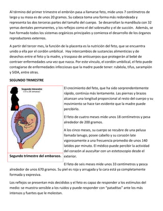 Al término del primer trimestre el embrión pasa a llamarse feto, mide unos 7 centímetros de
largo y su masa es de unos 20 gramos. Su cabeza toma una forma más redondeada y
representa las dos terceras partes del tamaño del cuerpo. Se desarrollan la mandíbula con 32
yemas dentales permanentes, y los reflejos como el del sobresalto y el de succión. Además, se
han formado todos los sistemas orgánicos principales y comienza el desarrollo de los órganos
reproductores externos.
A partir del tercer mes, la función de la placenta es la nutrición del feto, que se encuentra
unido a ella por el cordón umbilical. Hay intercambios de sustancias alimenticias y de
desechos entre el feto y la madre, y traspaso de anticuerpos que protegerán al bebé de
contraer enfermedades una vez que nazca. Por este vínculo, el cordón umbilical, el feto puede
contagiarse de enfermedades infecciosas que la madre puede tener: rubéola, tifus, sarampión
y SIDA, entre otras.
SEGUNDO TRIMESTRE
El crecimiento del feto, que ha sido sorprendentemente
rápido, continúa más lentamente. Las piernas y brazos
alcanzan una longitud proporcional al resto del cuerpo y su
movimiento se hace tan evidente que la madre puede
percibirlo.
El feto de cuatro meses mide unos 18 centímetros y pesa
alrededor de 200 gramos.
A los cinco meses, su cuerpo se recubre de una pelusa
llamada lanugo, posee cabello y su corazón late
vigorosamente a una frecuencia promedio de unos 140
latidos por minuto. El médico puede percibir la actividad
del corazón al auscultar con un estetoscopio desde el
exterior.
El feto de seis meses mide unos 33 centímetros y pesca
alrededor de unos 670 gramos. Su piel es roja y arrugada y la cara está ya completamente
formada y expresiva.
Los reflejos se presentan más decididos y el feto es capaz de responder a los estímulos del
medio: se muestra sensible a los ruidos y puede responder con “pataditas” ante los más
intensos y fuertes que le molestan.
Segundo trimestre del embarazo.
 