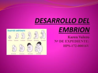 Karen Valero
Nº DE EXPEDIENTE:
HPS-172-00016V
 