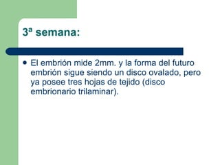 3ª semana: El embrión mide 2mm. y la forma del futuro embrión sigue siendo un disco ovalado, pero ya posee tres hojas de tejido (disco embrionario trilaminar). 