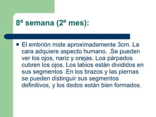 8ª semana (2º mes):  El embrión mide aproximadamente 3cm. La cara adquiere aspecto humano. .Se pueden ver los ojos, nariz y orejas. Loa párpados cubren los ojos. Los labios están divididos en sus segmentos .En los brazos y las piernas se pueden distinguir sus segmentos definitivos, y los dedos están bien formados. 