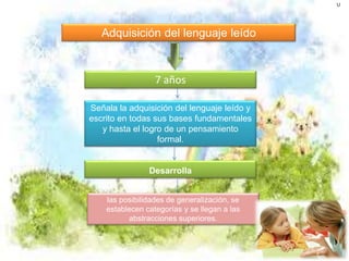 Adquisición del lenguaje leído 
7 años 
Señala la adquisición del lenguaje leído y 
escrito en todas sus bases fundamentales 
y hasta el logro de un pensamiento 
formal. 
Desarrolla 
las posibilidades de generalización, se 
establecen categorías y se llegan a las 
abstracciones superiores. 
U 
 